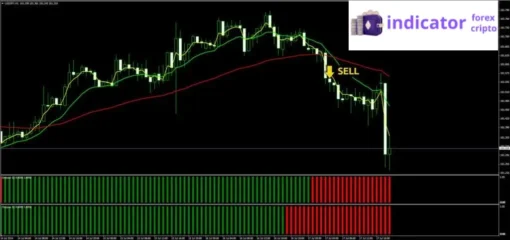 trading-system-forex-octopus (3)