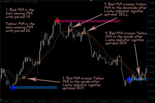 Lucky Reversal Indicator For MT4